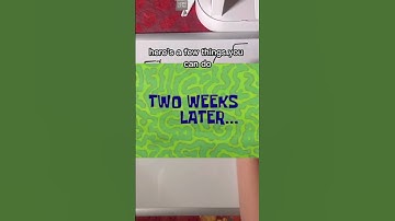 Huge TikTok Algorithm Update for December 2022!! 🙊 #tiktokgrowth #tiktokgrowth2022 #tiktokalgorithm