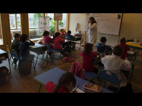 Video: 3 formas de convertirse en profesor en Australia