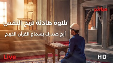 أرح سمعك ب القرآن الكريم🌿 تلاوة هادئة تريح القلب والعقل🧡 تلاوة هادئة تريح الأعصاب💜 #القرآن_الكريم