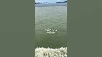ما تيسر من سورة الفرقان | للقارئ محمد اللحيدان #القرآن_الكريم ♡