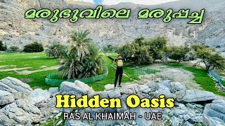 Hidden Oasis Ras Al Khaima UAE | മരുഭൂവിലെ മരുപ്പച്ച | Jab Al Jais | Destination Hunting