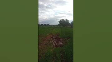 سورة النحل بصوت الشيخ ماهر المعيقلي في اراضي افورار الجميلة