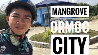 Amazing Mangrove Ormoc City Leyte Philippines #amazing #beautiful  #philippines by JhonTv 62 views 2 months ago 8 minutes, 56 seconds