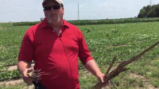 CompleteU™ – Stalk Degradation