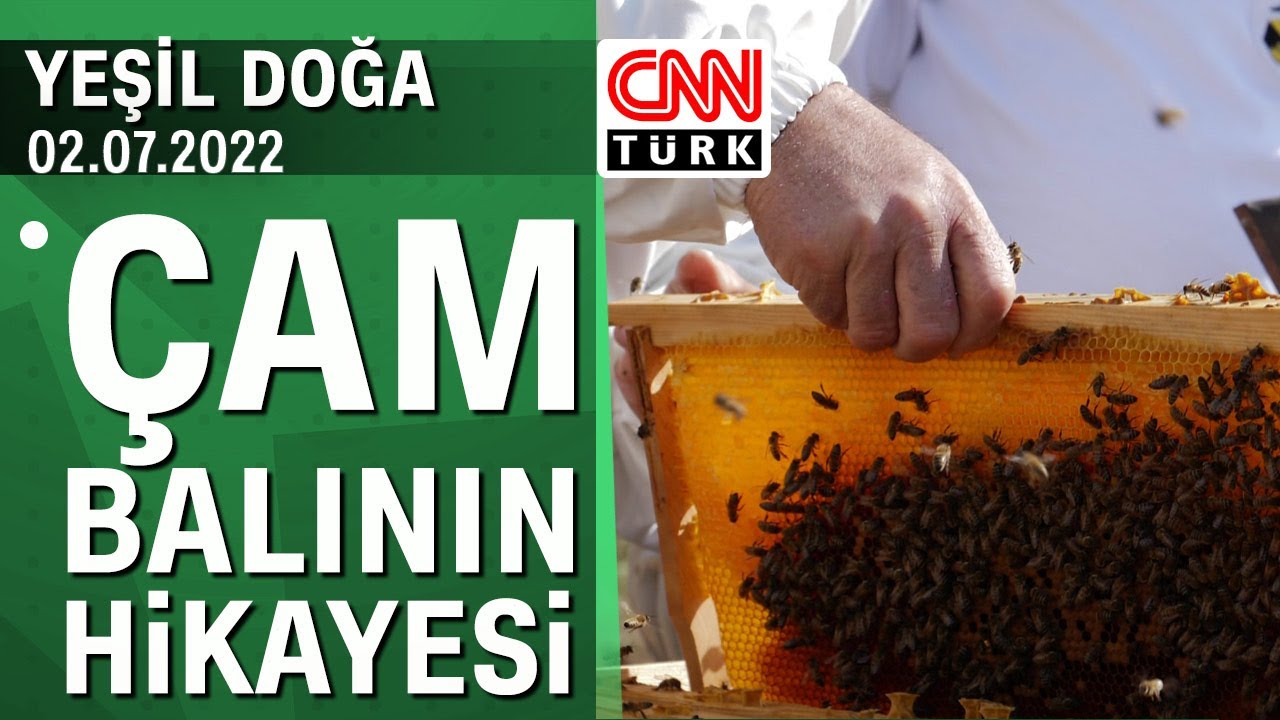 Muğla'nın meşhur çam balının hikayesi - Yeşil Doğa 02.07.2022 Cumartesi