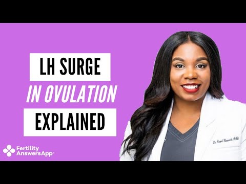 LH Surge in Ovulation