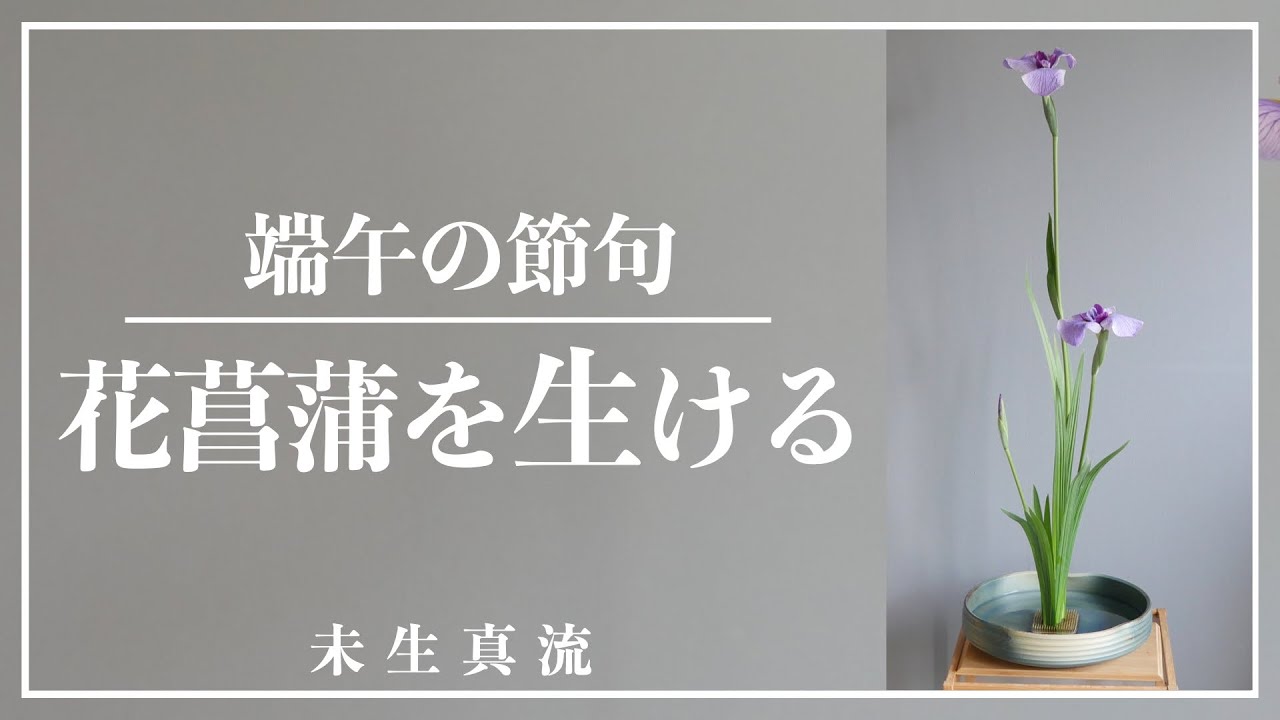 格花 端午の節句を楽しむ 花菖蒲の生け方 客位13葉3花 Ikebana Japanese Iris Youtube