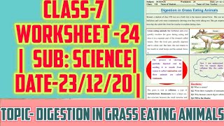 Class-7 | sub: Science | Worksheet-24| 23th December (Wednesday) | 'Digestion  ' | ncert ,doe. |