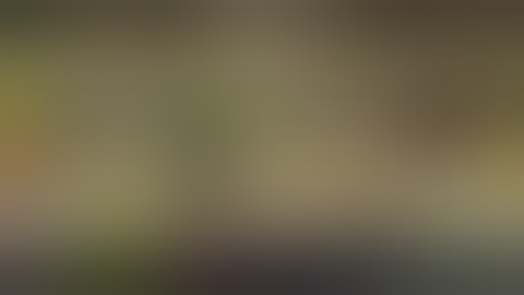 I interrupt Applejack