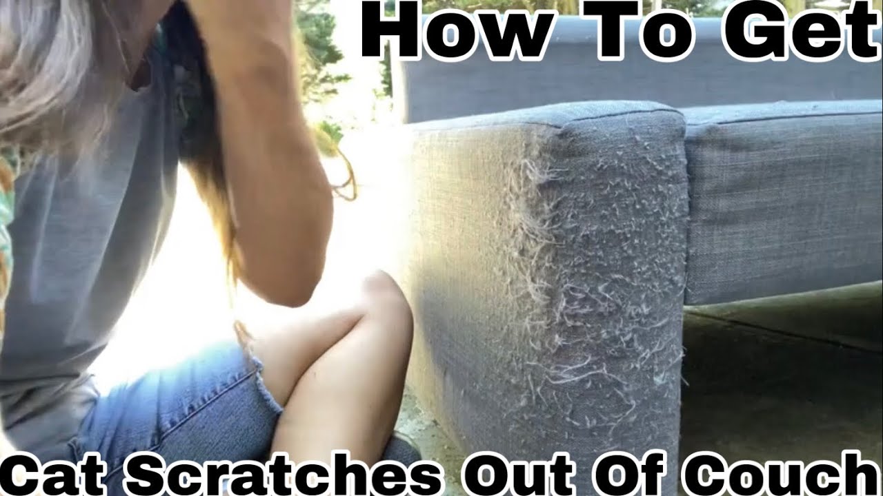 How To Repair Cat Scratches on a Leather sofa 