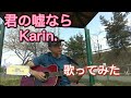 君の嘘なら/Karin. 歌ってみた。