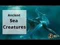 Top Documentary - Ancient Sea Creatures 2020