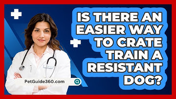 Is There An Easier Way To Crate Train A Resistant Dog? - PetGuide360.com