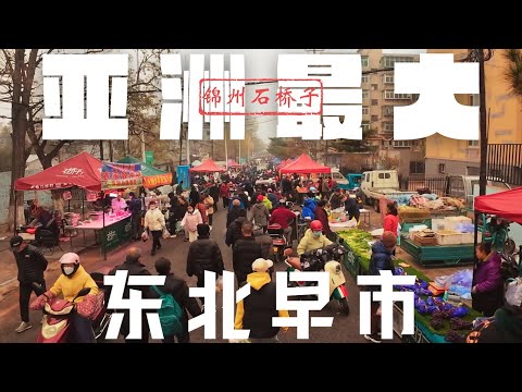 Video: Kinesisk havneby Qingdao: foto, karakteristika