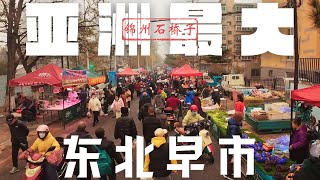 锦州石桥子早市 绵延五公里的亚洲最大早市 因一处早市了解一座城 全景式了解东北独特的饮食文化 一元肉夹 筋饼卷菜 炸大枣 五香烀疙瘩 咸大蒜 驴肉火勺 东北热面茶 老式锅包肉 水磨玉米饼 东北小豆腐 screenshot 2