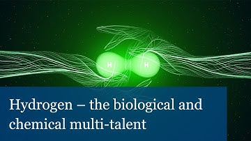 Hydrogen – the biological and chemical multi-talent