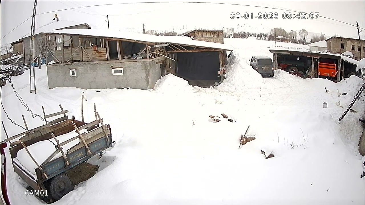 Ya çıkacak ya çıkacak