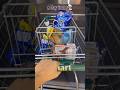 Dmart dairies :- a day in my life 🕊️#dailyvlog #vlog #minivlog #dmart