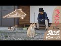 毎日のびのび「佐々木さん宅の猫』【とおの猫ぐらし#6】