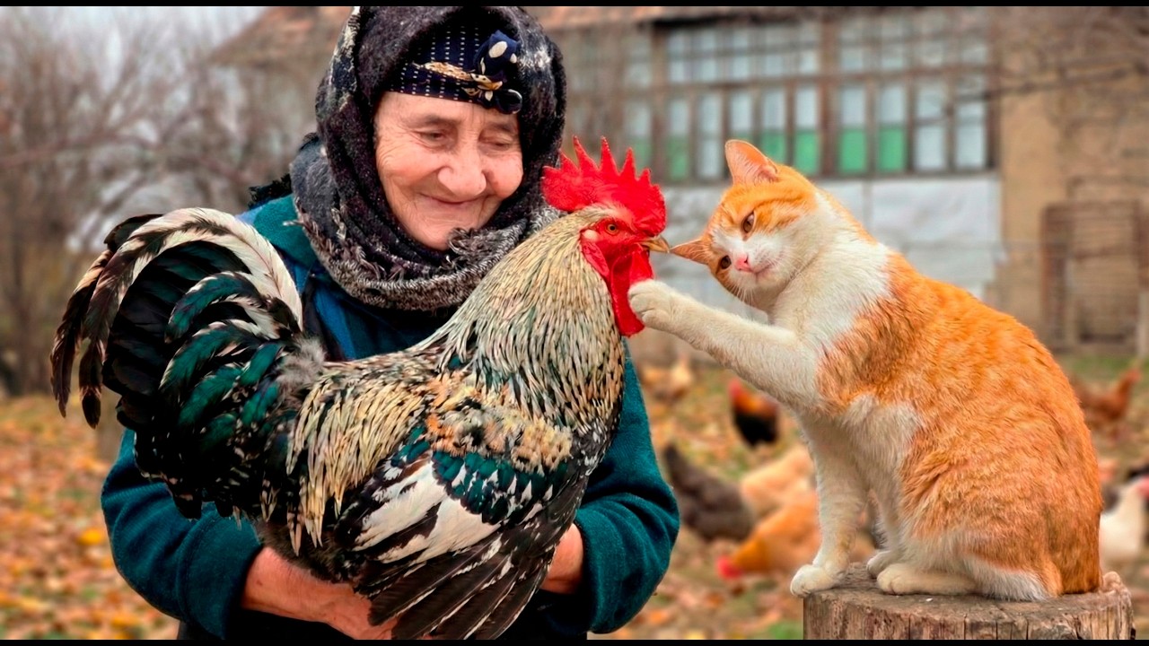 Grandma’s Daily Routine: Baking Sweets & Funny Animals