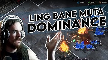 LIng Bane Muta DOMINANCE