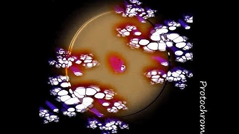 Moog Subharmonicon and DFAM inspired music : Mortiquoro