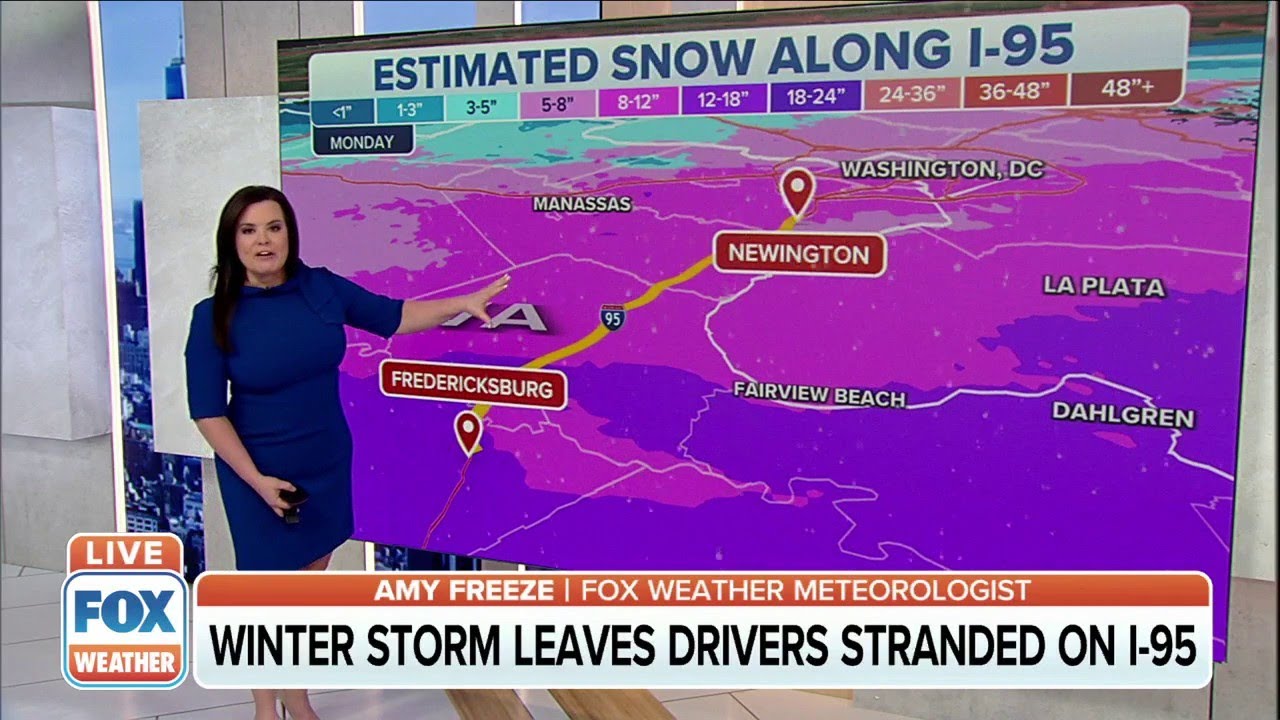 Mid-Atlantic Winter Storm: A Recap