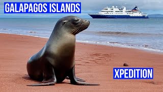 Galapagos Islands Expedition Cruise on Celebrity Xpedition