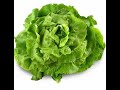 Je te raconte des salades et t'explique le sens de l'expression