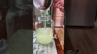 How to make ginger beer