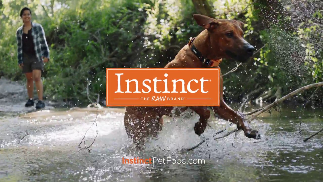 nature's variety instinct dog food