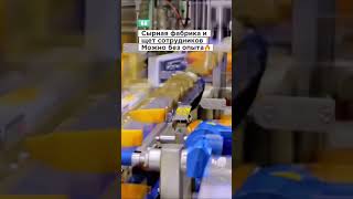 ПИШИТЕ +++ В КОММЕНТАРИИ #вакансии #работавевропе #виза #работавевропе2026