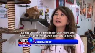 Keunikan Museum Kucing di Singapura - NET5