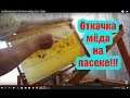 ЗАВЕРШАЮЩАЯ ОТКАЧКА МЁДА 2019 ГОДА