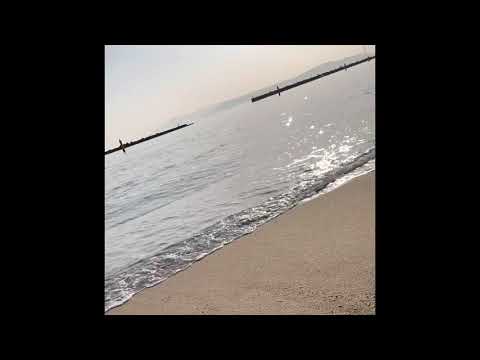 にしな ダーリン  弾き語り cover ギター