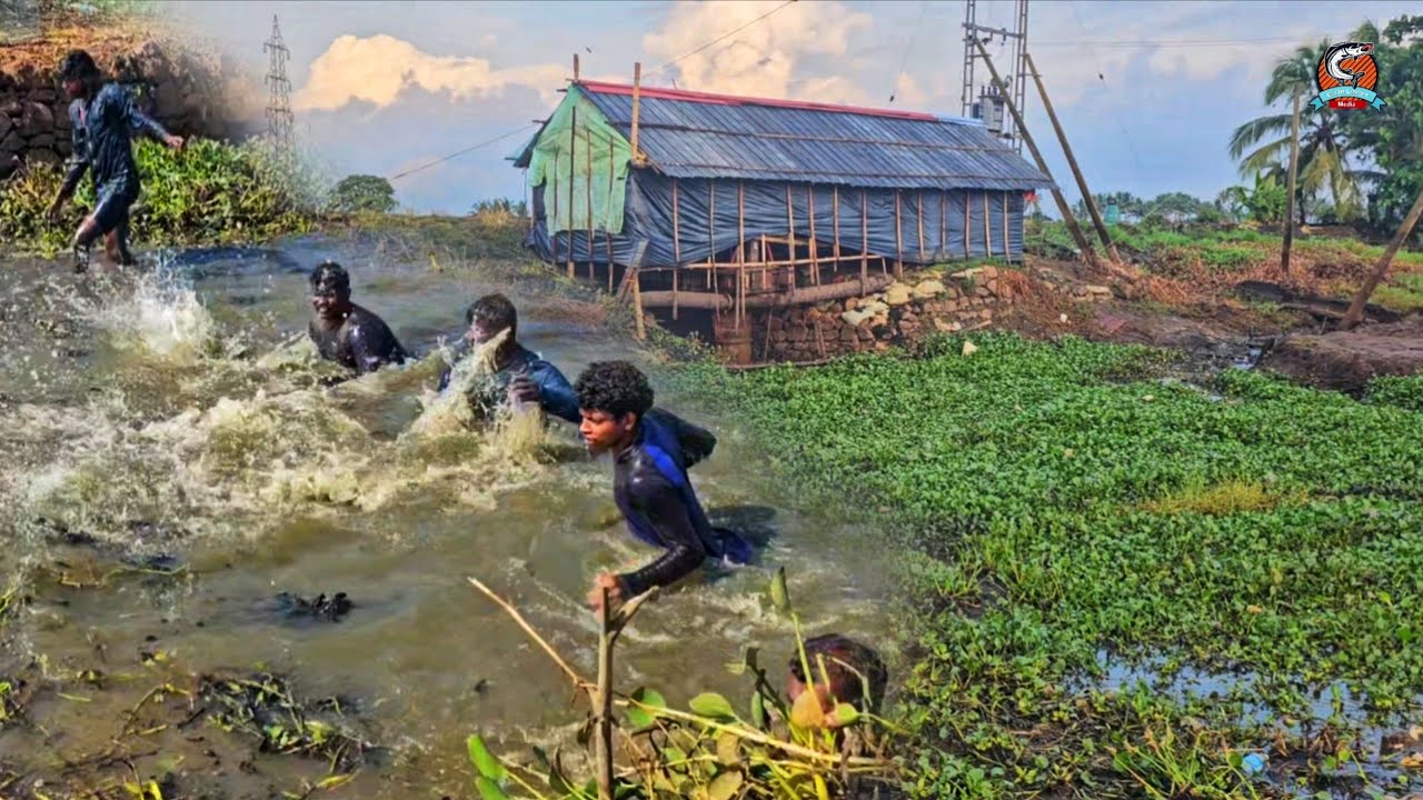 മോട്ടോർ കുഴിയിലെ പോള വാരാൻ മോട്ടോറച്ചനെ സഹായിച്ചു |കൂടെ വല വെച്ച് മീനും പിടിച്ചപ്പോൾ 