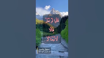 سورة ال عمران الايه 167