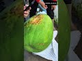 هذه المزرعة الصينية تنتج أكبر بطيخ في العالم وزنه يصل إلى أكثر من 70 كيلو غراما وحلاوته أسطورية