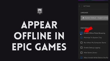 How to Appear Offline in Epic Games (2024)