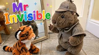 Episode 22: Mr Invisible