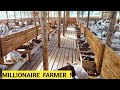 Best methods for raising goats sheep poultry on a free range farm  farm tour