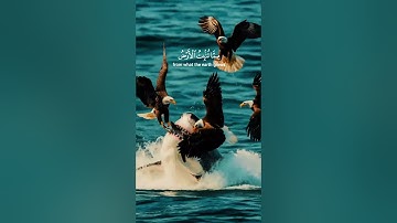 سبحان الذي خلق الأزواج كلها #قرآن #تلاوة_خاشعة #quran #اكسبلور #سبحان_الله