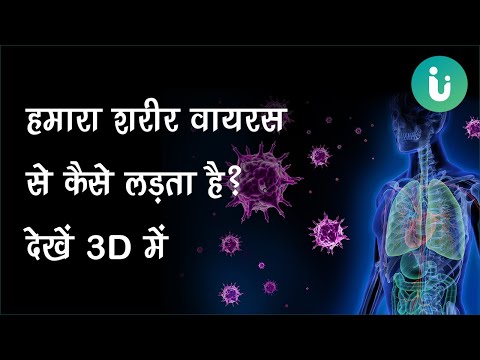 हमारा शरीर वायरस या बैक्टीरिया से कैसे लड़ता है? देखें 3D में - How the immune system works in Hindi