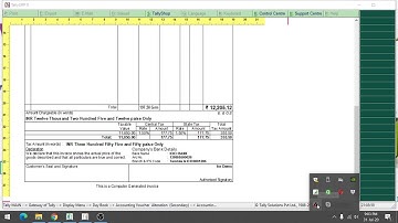 Tally Addon - Delete Extra Space bottom of the Tally Invoice. Increase The space of  Item & Ledger