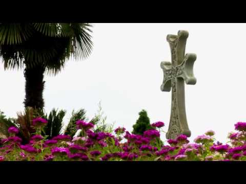 \"სიყვარული ყველას უნდა\" • თემურ ცაგურია