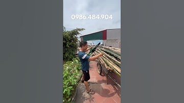 Máy cưa xích pin wortfix chuyên cắt cây gỗ tỉa cành |Dụng cụ làm vườn #maycuaxichpin