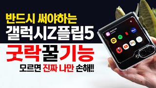 모르면 진짜 손해!! 갤럭시 Z플립5 꼭 써야하는 굿락 핵심 꿀 기능 및 설정