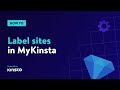 How to Label Sites in MyKinsta