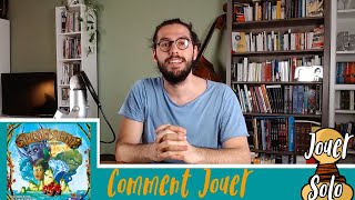 Spirit Island - Comment Jouer