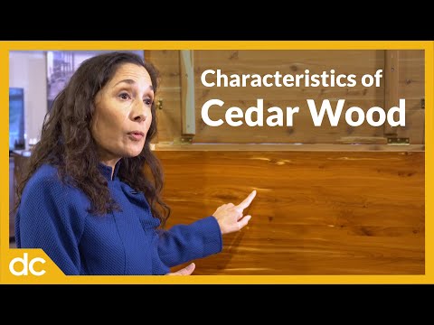 Cedar Wood Characteristics: Should You Buy Cedar Furniture?